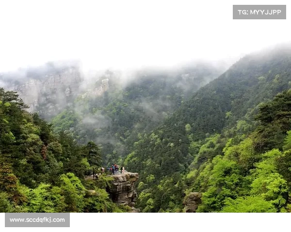 锦绣谷入口全攻略：轻松找到神秘传送门的最佳路径