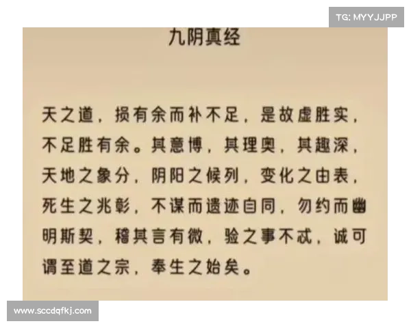 九阴真经门派武学秘籍深度剖析与技能掌握全攻略