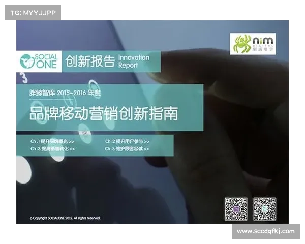 整合经验与创新策略助力艾维娜突破瓶颈迈向成功之路