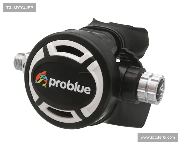 10种男柔道必备武器解析与专业装备推荐完整指南