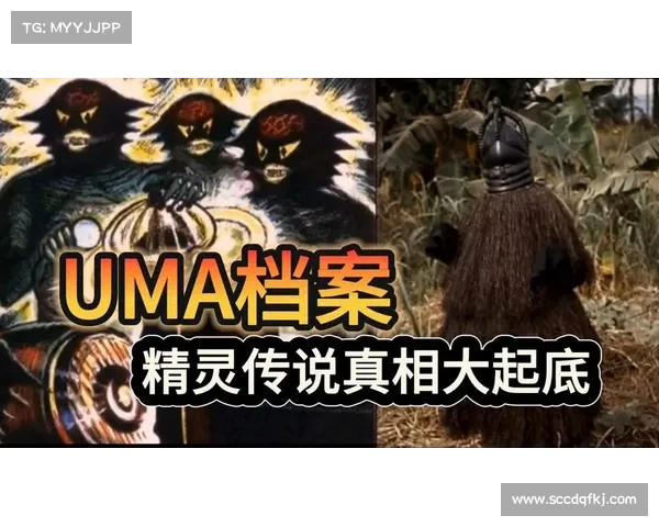 精灵传说中的神秘奥秘与隐藏的古老力量揭秘