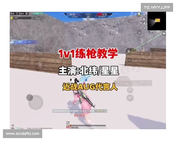 勇闯格斗界必备技巧与实用攻略助你迅速成为顶级格斗高手