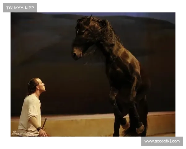 为什么英俊白马是成为最佳骑士之选的象征与意义