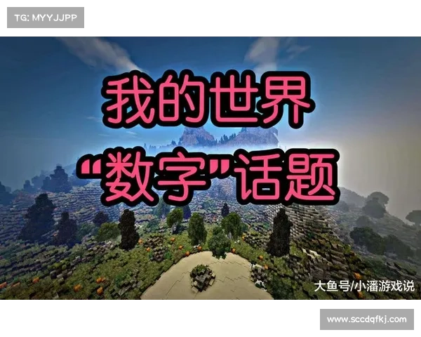 解锁网络奇观的十大技巧带你畅游数字世界的奇妙奥秘