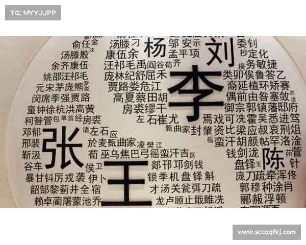 吓人祖先兑换表的背后隐藏的历史故事与文化密码解析